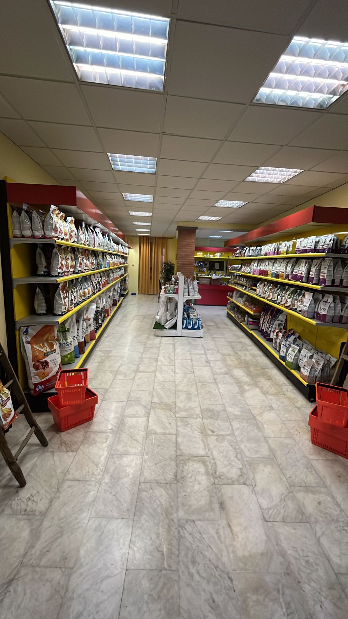 vendita cibo per cani