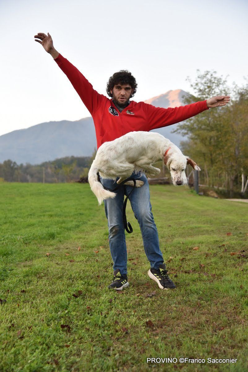 addestramento base per cani