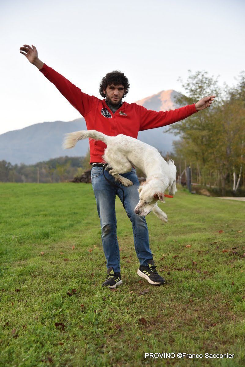 addestramento per cani