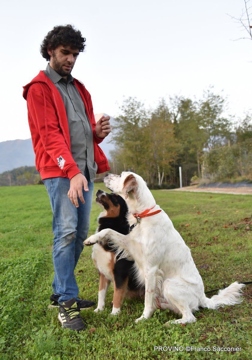 addestratore cinofilo