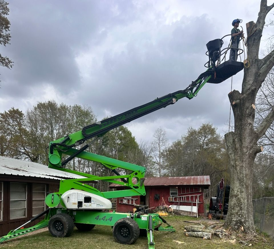 Green boom lift with two workers pruning a large tree beside a house on a cloudy day