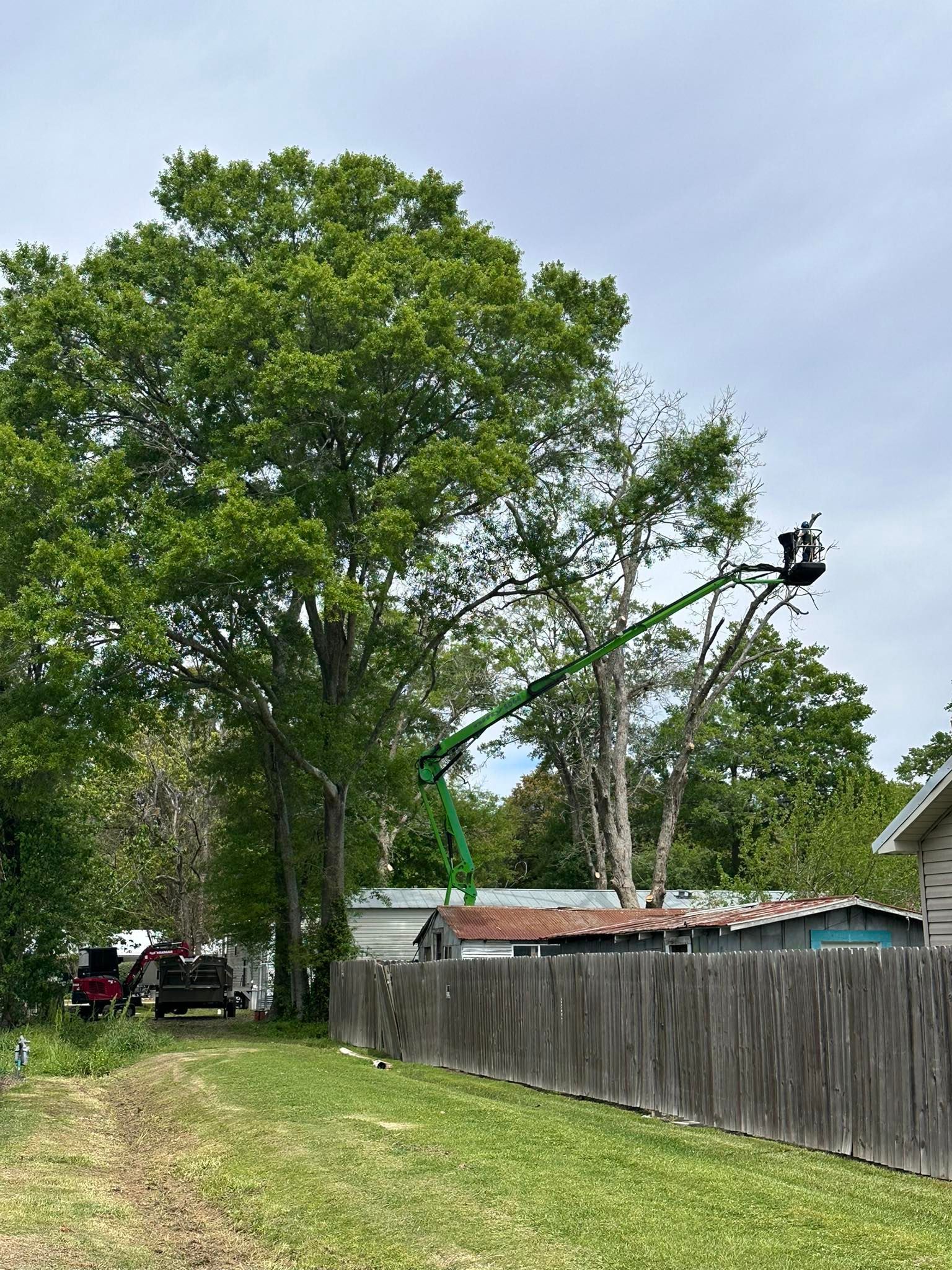 Rural yard with large green tree, wooden fence, and utility lines under a cloudy sky