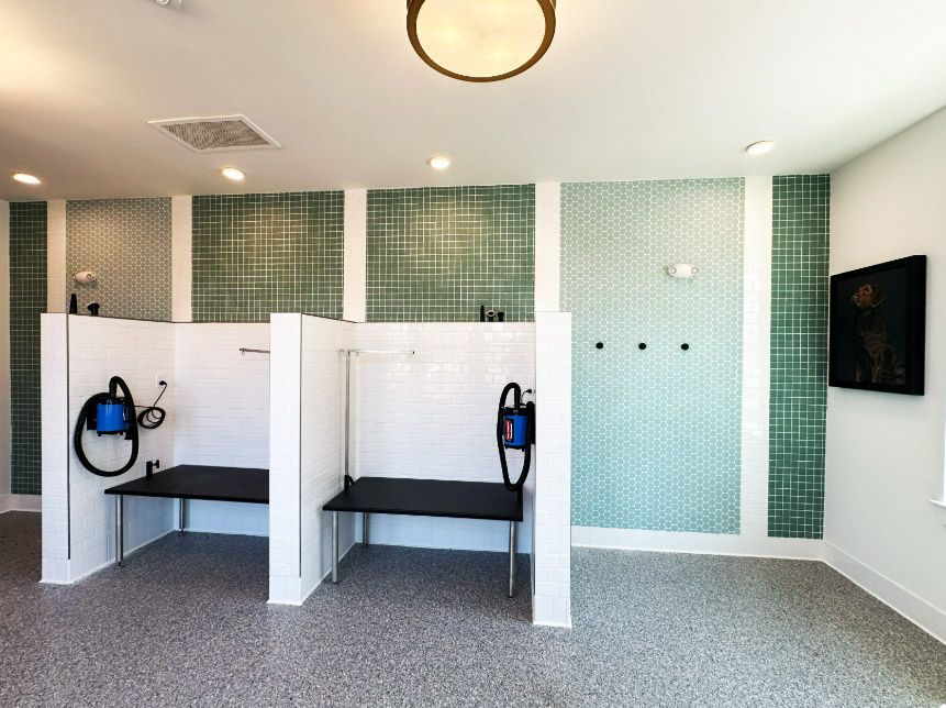 Dog washing station at Preserve at Heartwood in Richmond Hill, GA.