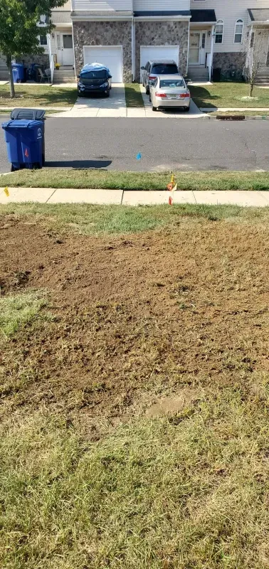 A car is parked on the side of the road in front of a house.
