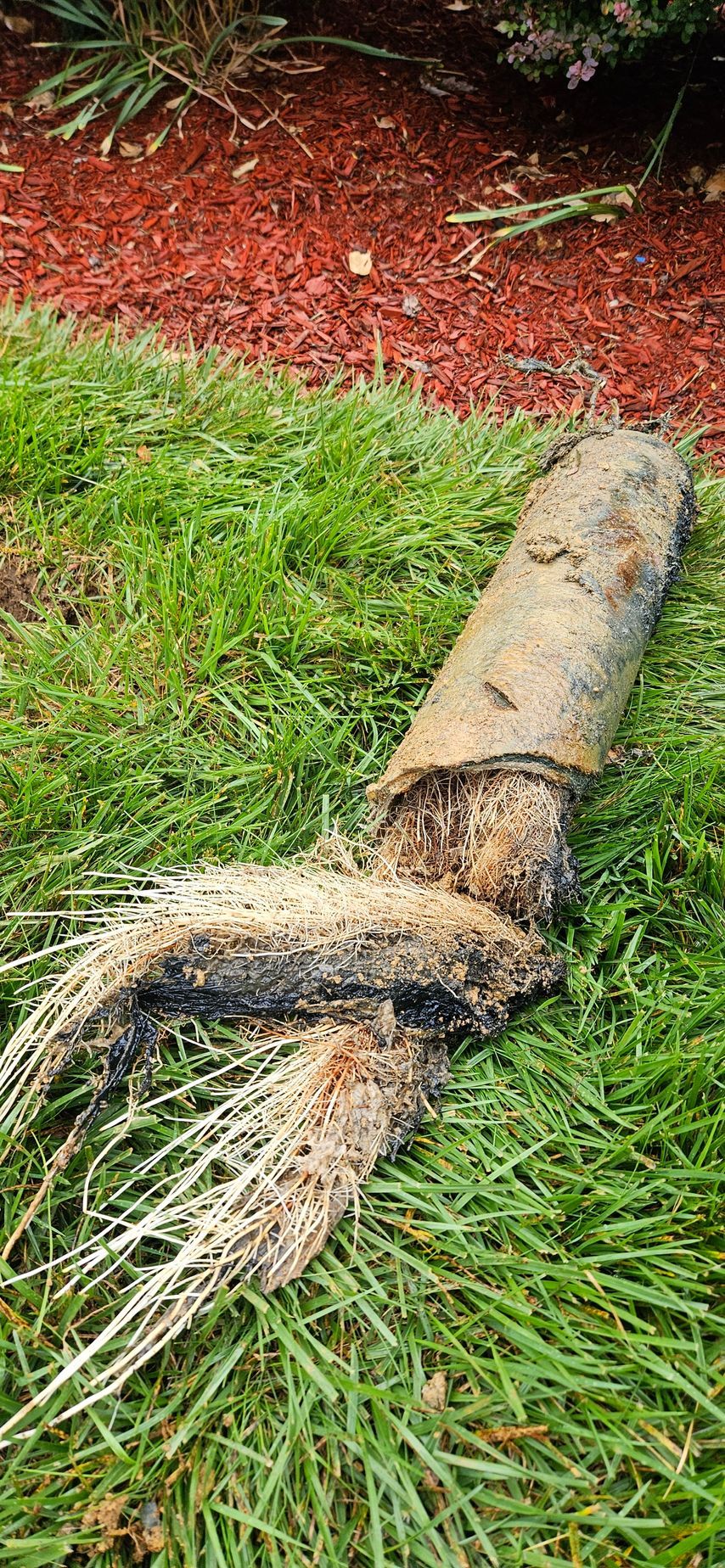 A room with a boiler and pipes in it.