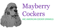 Mayberry Cockers Cocker Spaniel Breeders