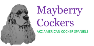 Mayberry Cockers Cocker Spaniel Breeders