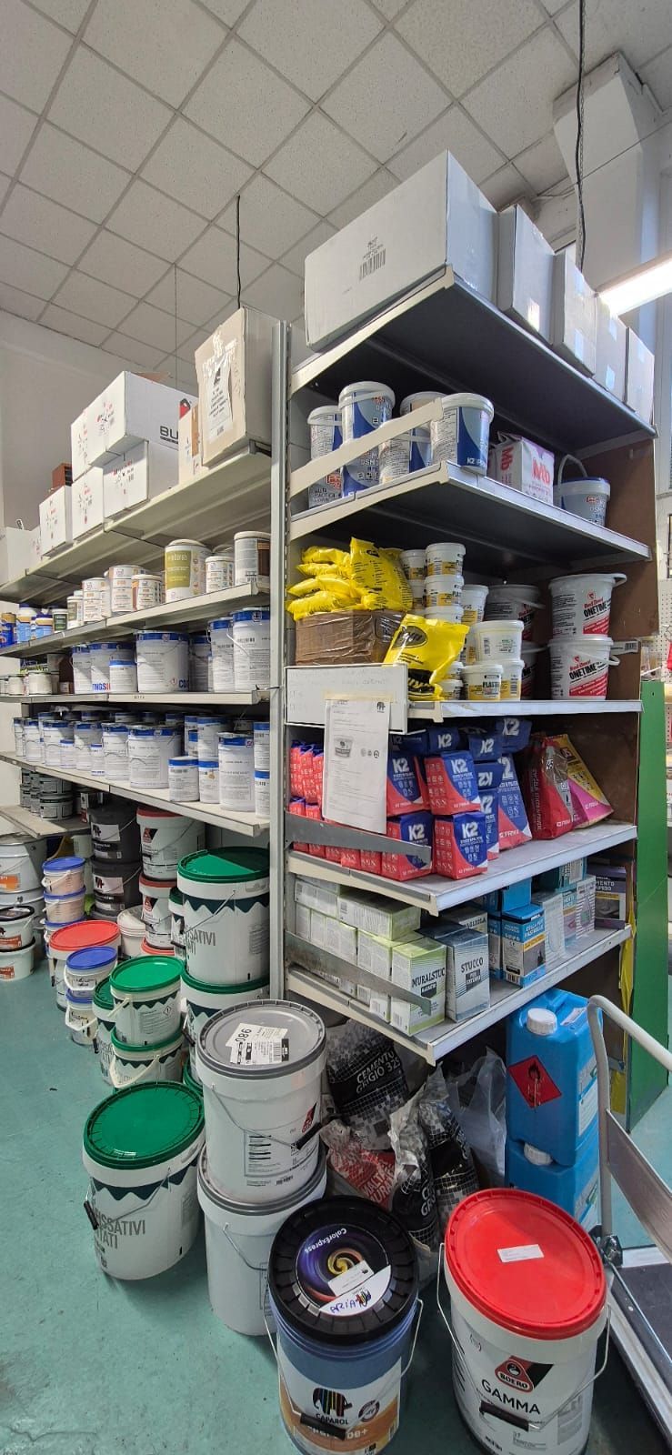 VERNICICOLOR ravenna