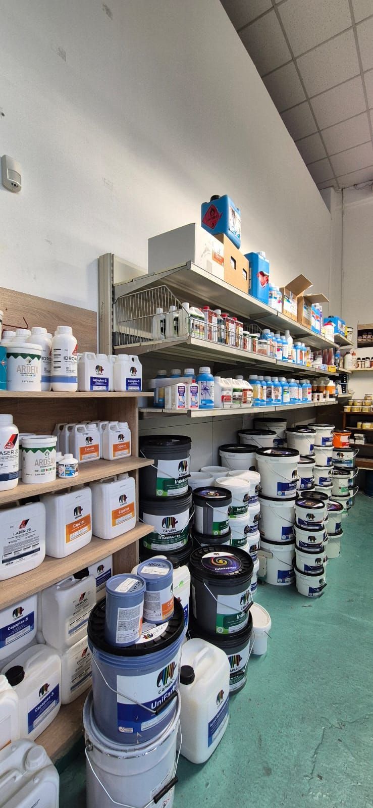 VERNICICOLOR ravenna