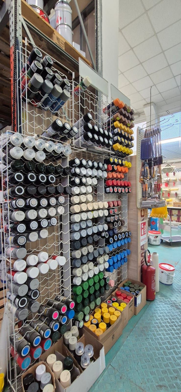 VERNICICOLOR ravenna