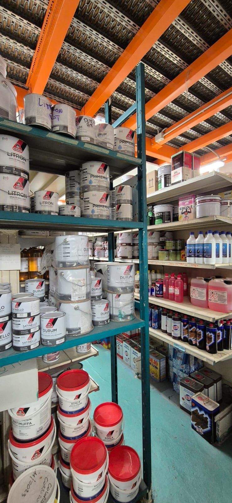 VERNICICOLOR ravenna