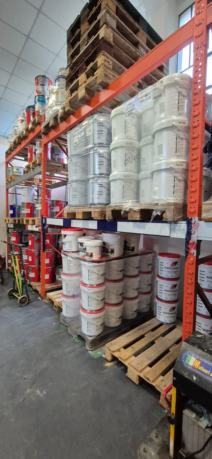 VERNICICOLOR ravenna