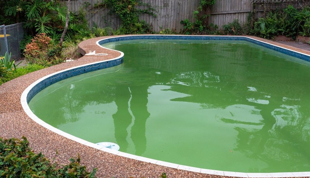 cloudy pool after shocking