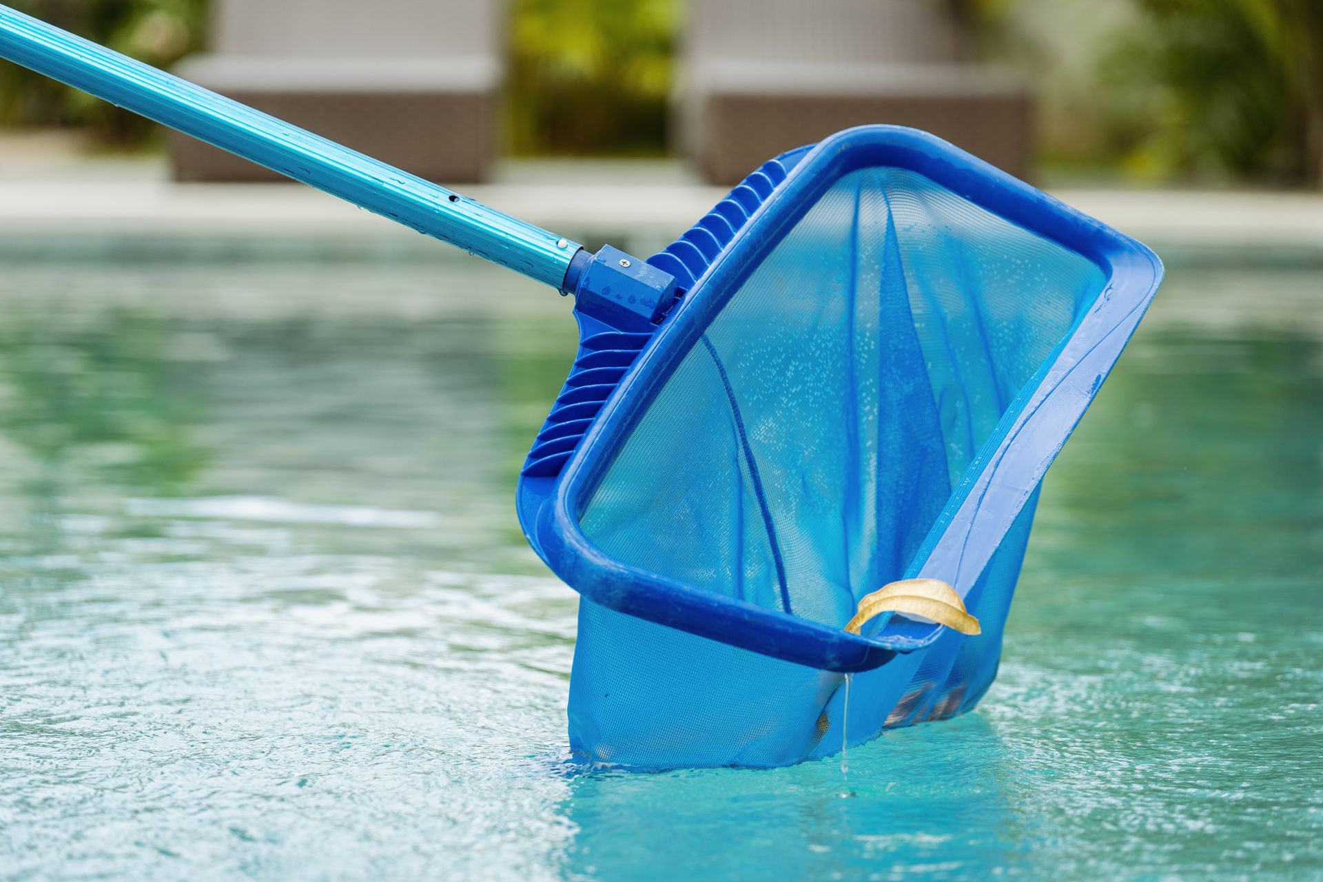A blue net is being used to clean a swimming pool.