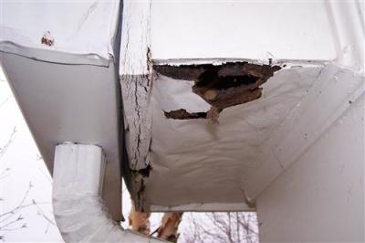 Alpharetta Wood Rot Repairs