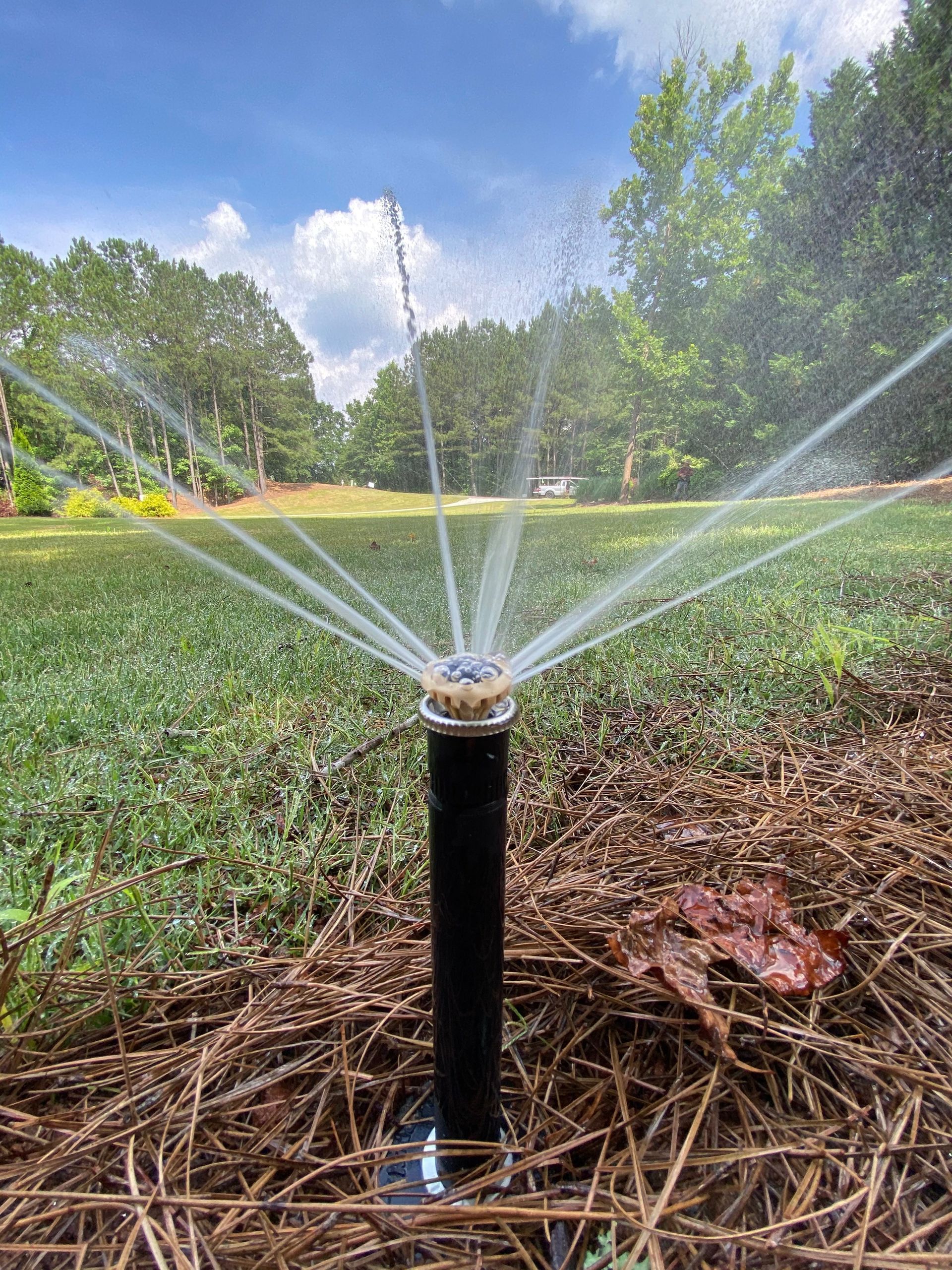 Sprinkler Water