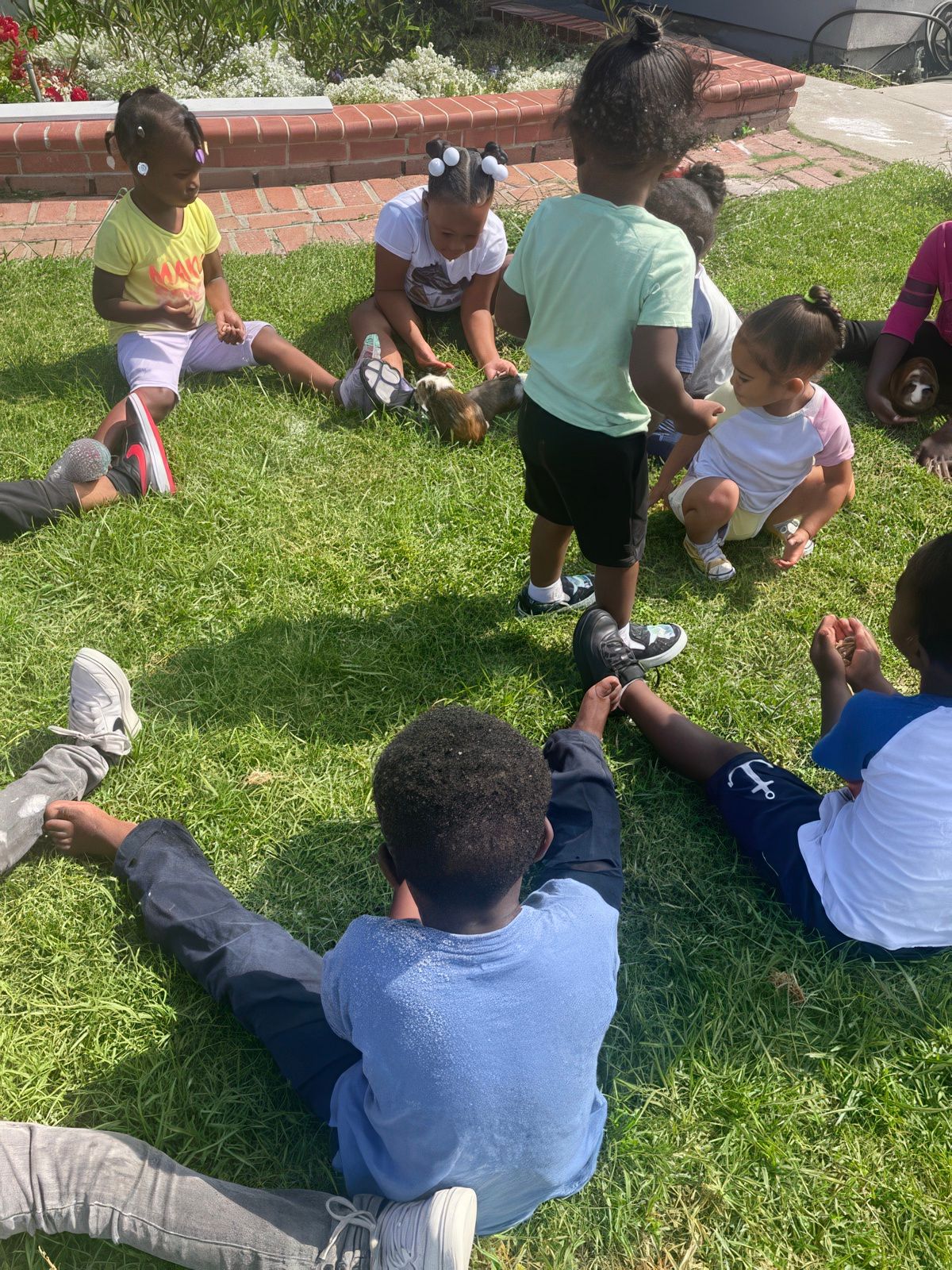 Children sitting and standing in a circle on green grass, some interacting with a container. Sunny outdoor setting.