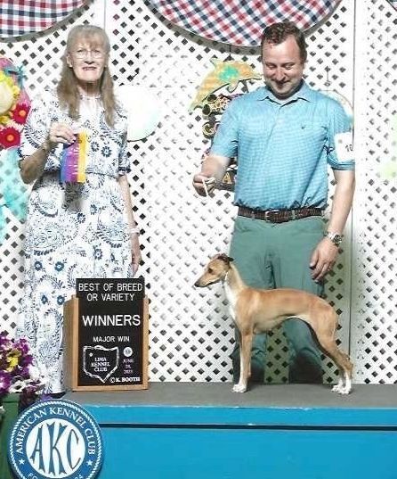 NEW CHAMPION MARCHWIND JAXON