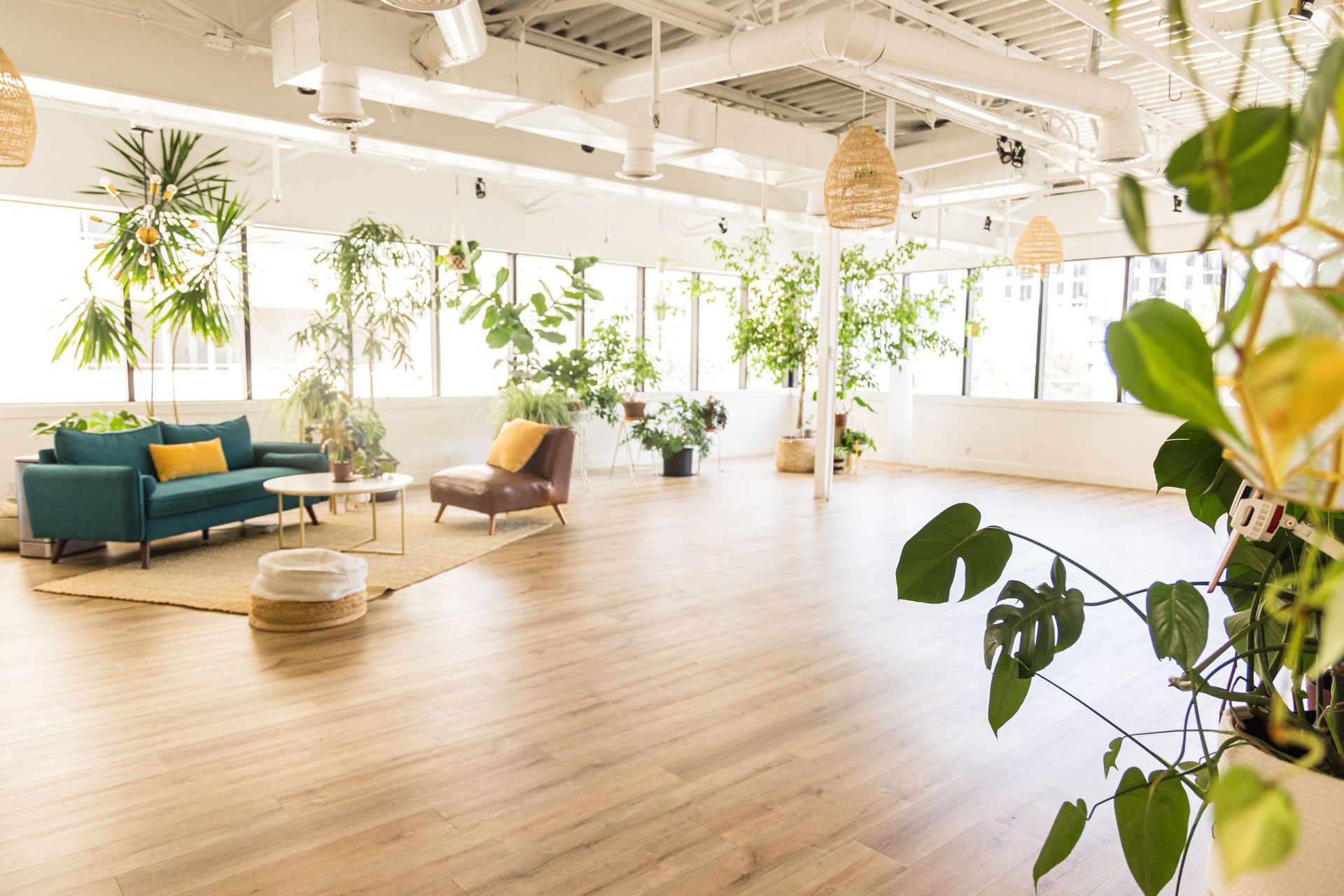 A living room with a couch , chairs , tables and plants.