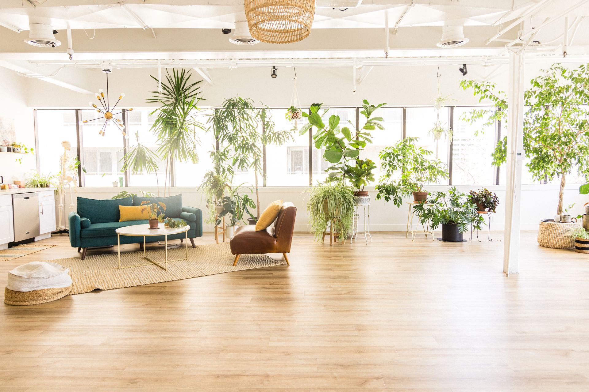 A living room filled with furniture and lots of plants.