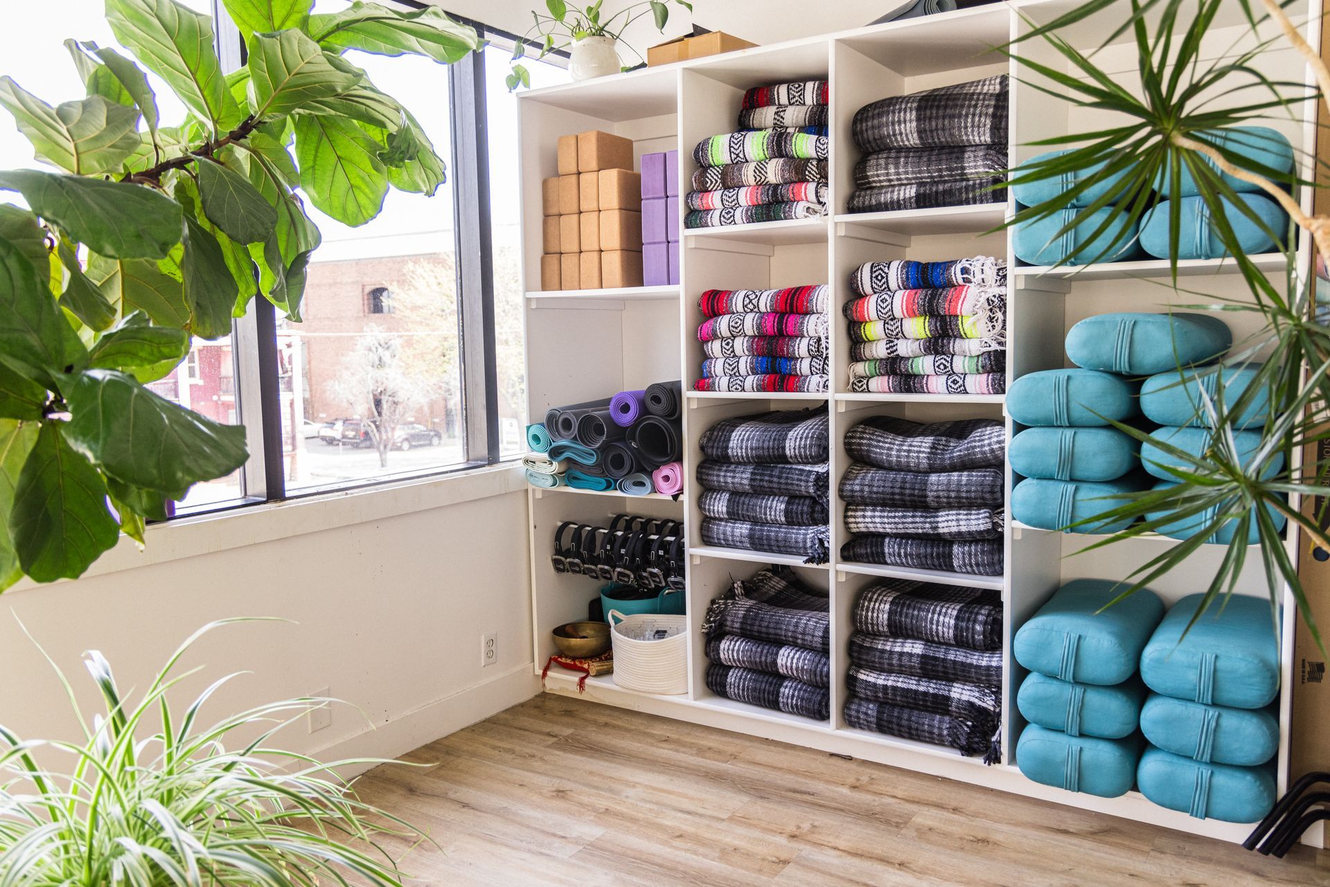 A room filled with shelves filled with yoga mats and a plant.