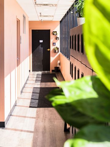 A hallway with a plant in the foreground and a door in the background