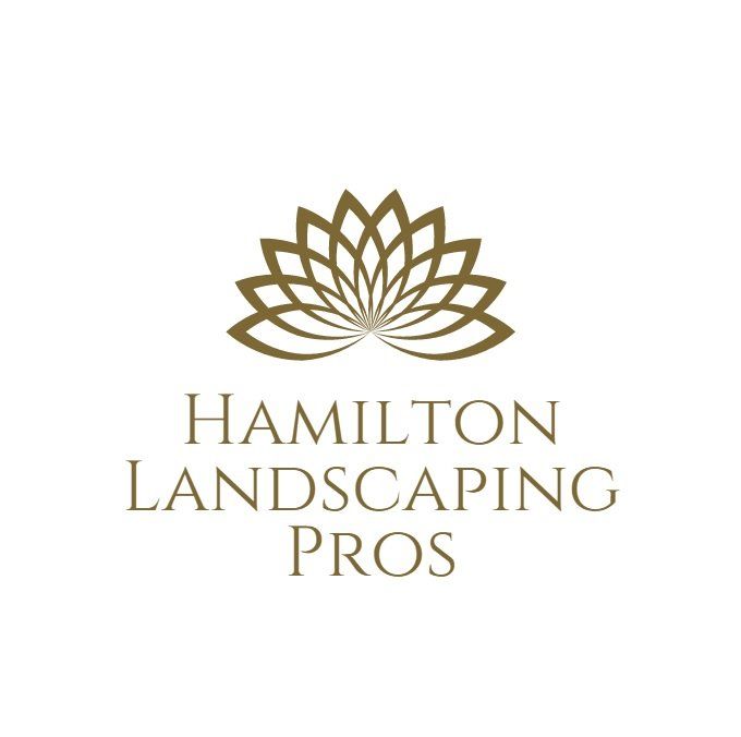 our landscaping services
