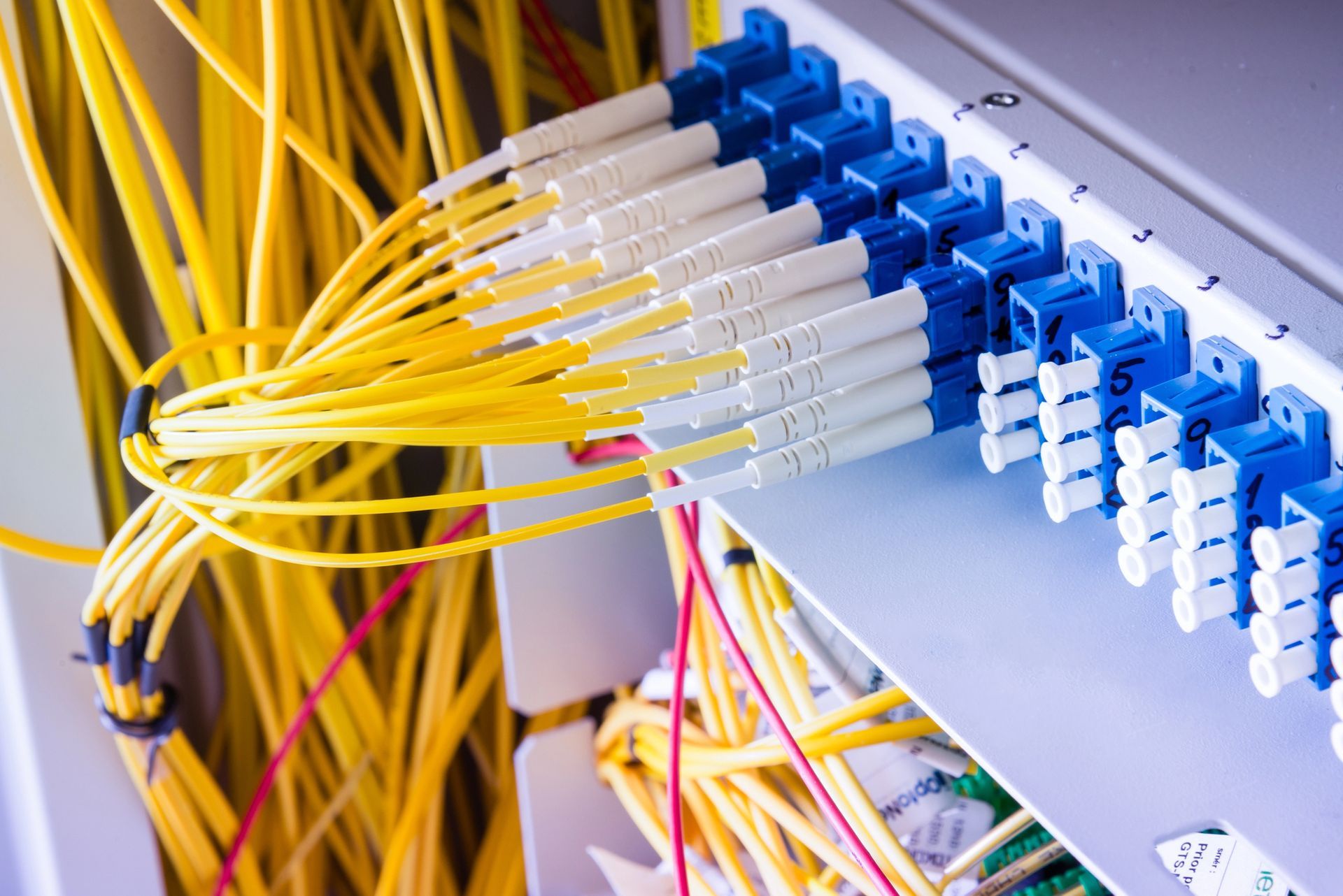 Cables de fibra óptica amarillos conectados a puertos azules y blancos en un rack de servidores.