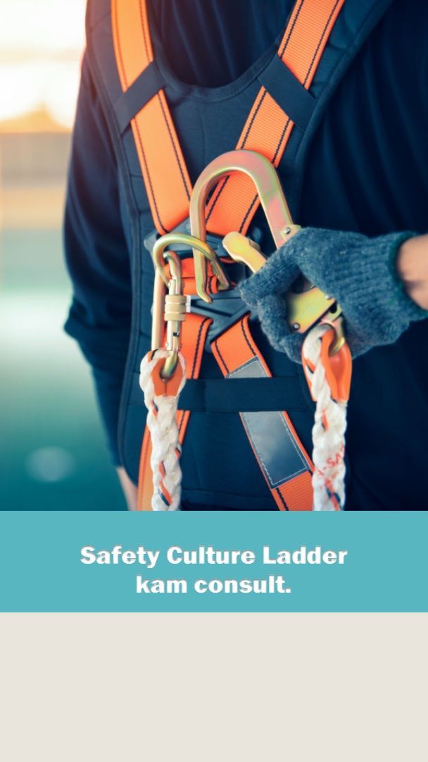 safety culture ladder