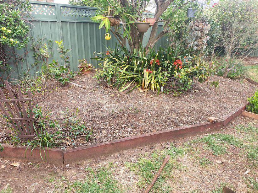 A Garden With a Fence and a Tree in the Background — Greener Gardens Gardening Service In Thrumster, NSW
