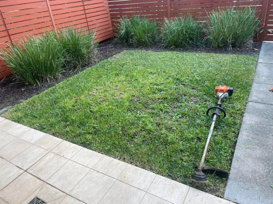 A whipper snipper is sitting in the middle of a lush green lawn — Greener Gardens Gardening Service In Thrumster, NSW