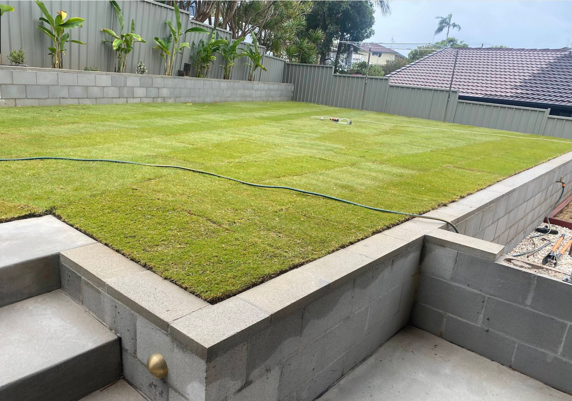A lush green lawn is surrounded by concrete steps and a brick wall. — Greener Gardens Gardening Service In Thrumster, NSW