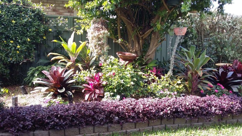 A Garden Filled With Lots of Plants and Flowers — Greener Gardens Gardening Service In Thrumster, NSW