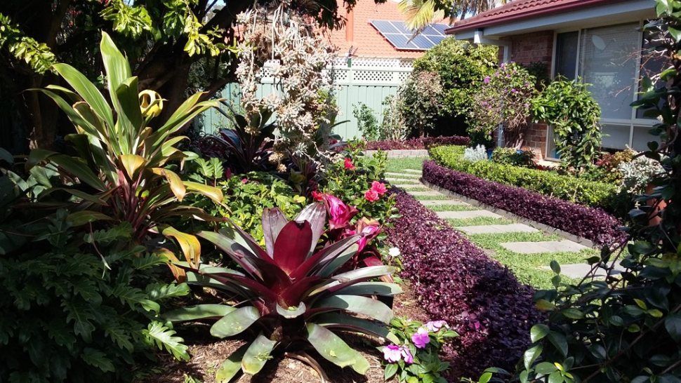 A Garden With Lots of Plants and Flowers in Front of a House — Greener Gardens Gardening Service In Thrumster, NSW