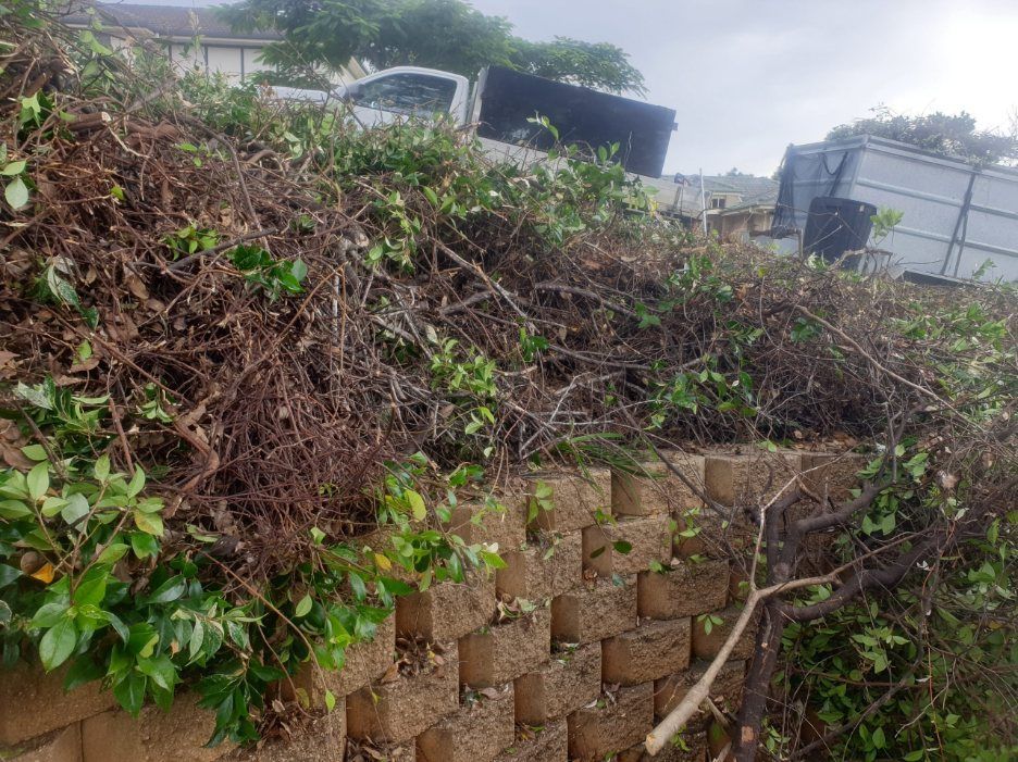 A Pile of Branches and Leaves on Top of a Brick Wall — Greener Gardens Gardening Service In Thrumster, NSW