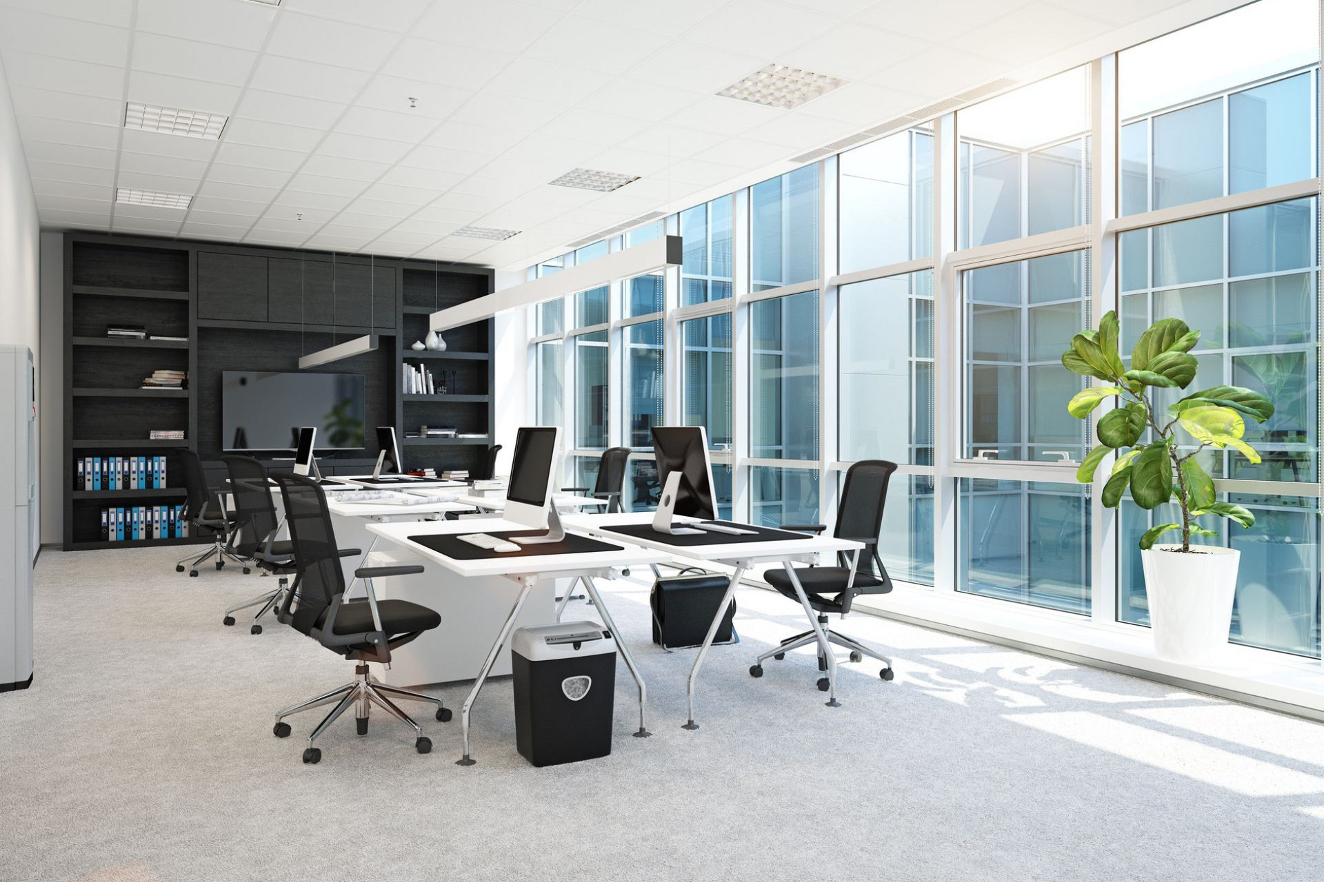 Modern office space with large windows, tables, black chairs, and a plant.