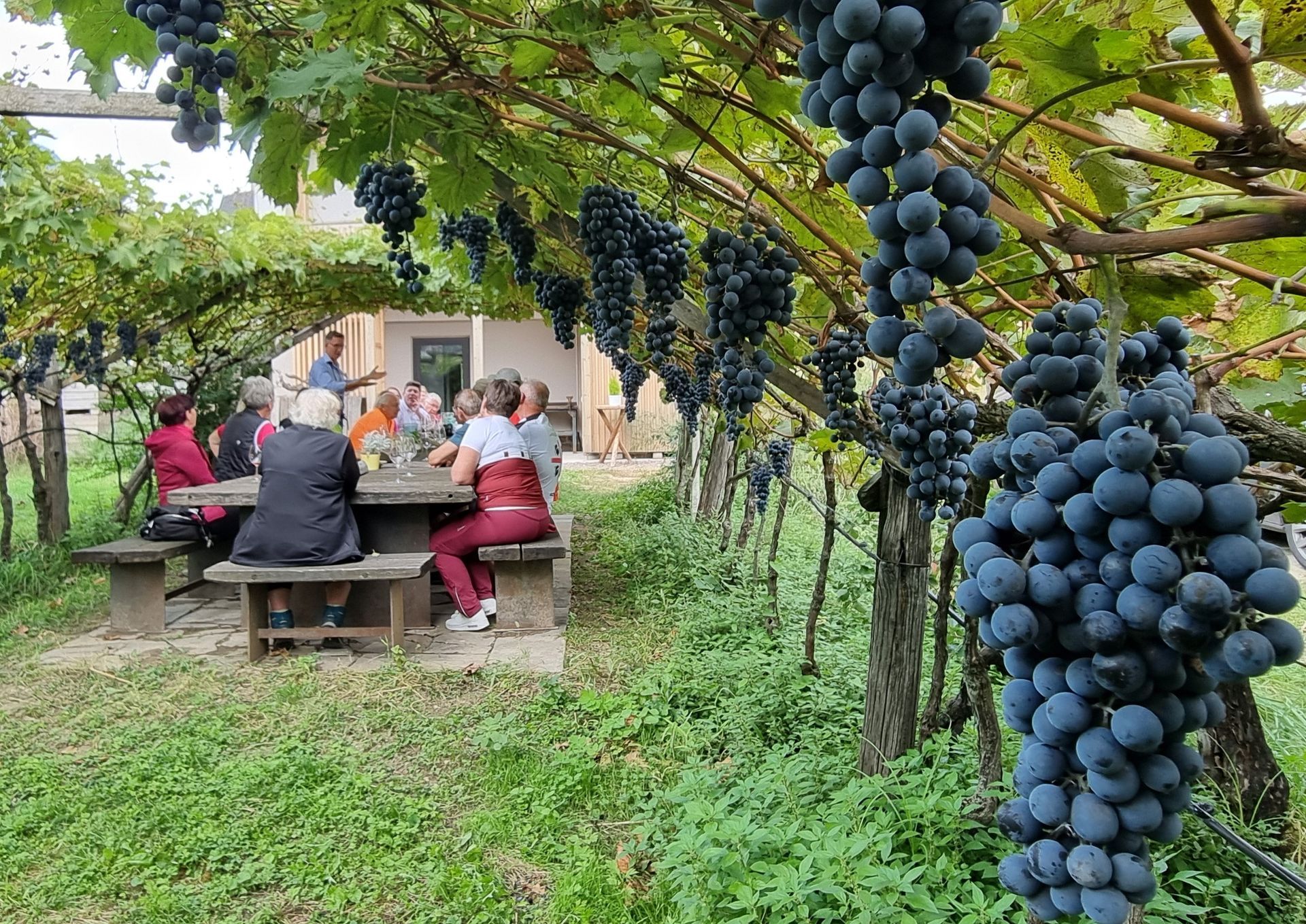 Bio Kräuter aus Südtirol Bio Kräuter Südtirol