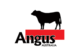 Angus Australia Logo