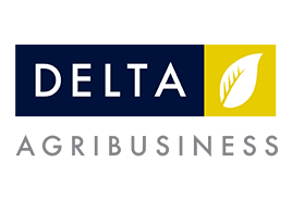  Delta Logo