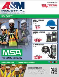 MSA Safety Sale