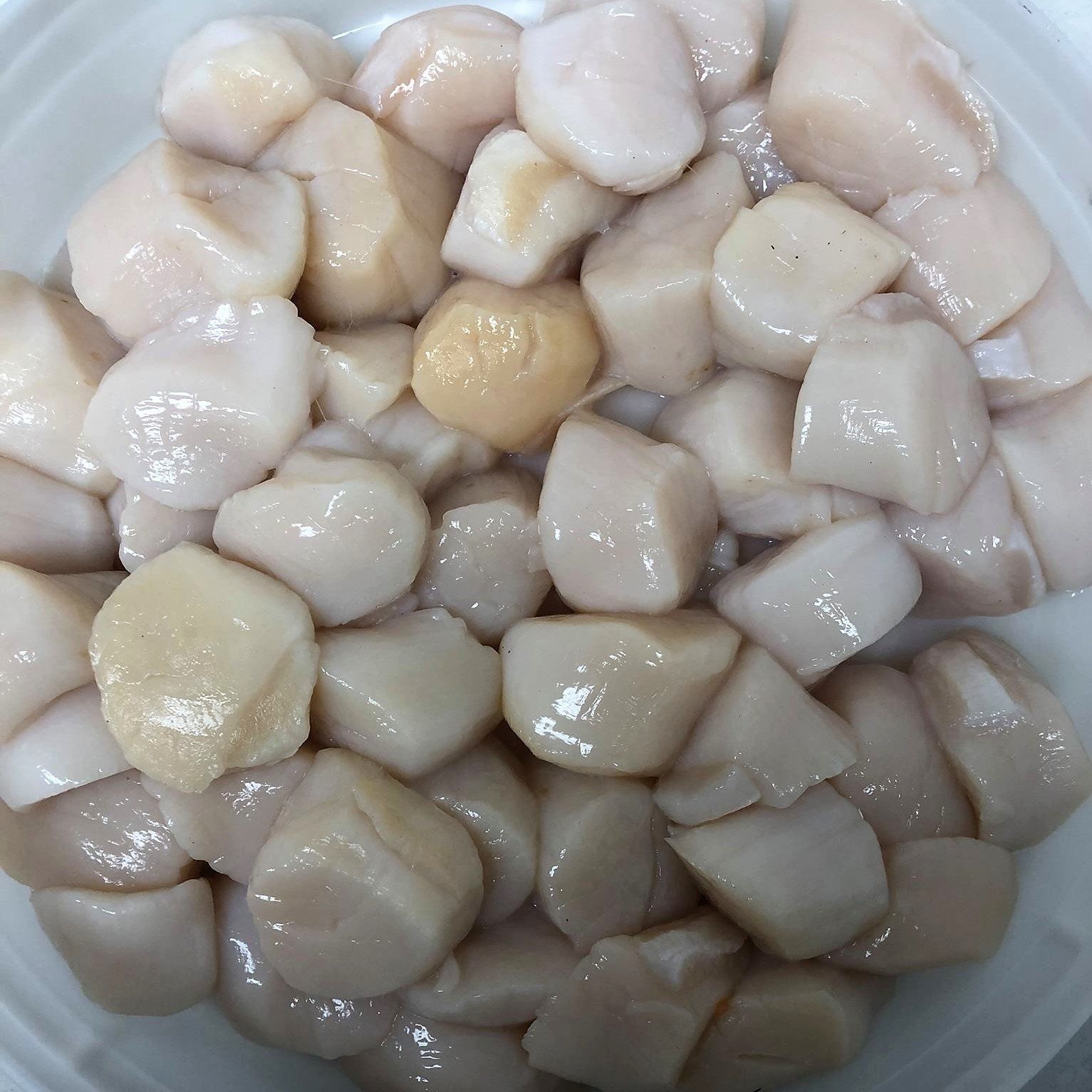 Seafood Market — Fresh Scallops in Mystic Islands, NJ