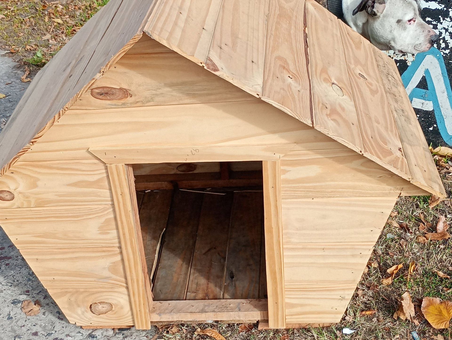 Pequeña caseta de madera para perros con techo inclinado y puerta abierta, ubicada al aire libre sobre hojas y grava.