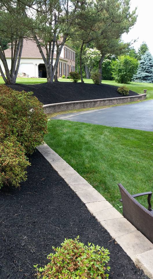 Lawn Maintenance — Landscaper Holding Plant in New Castle, DE