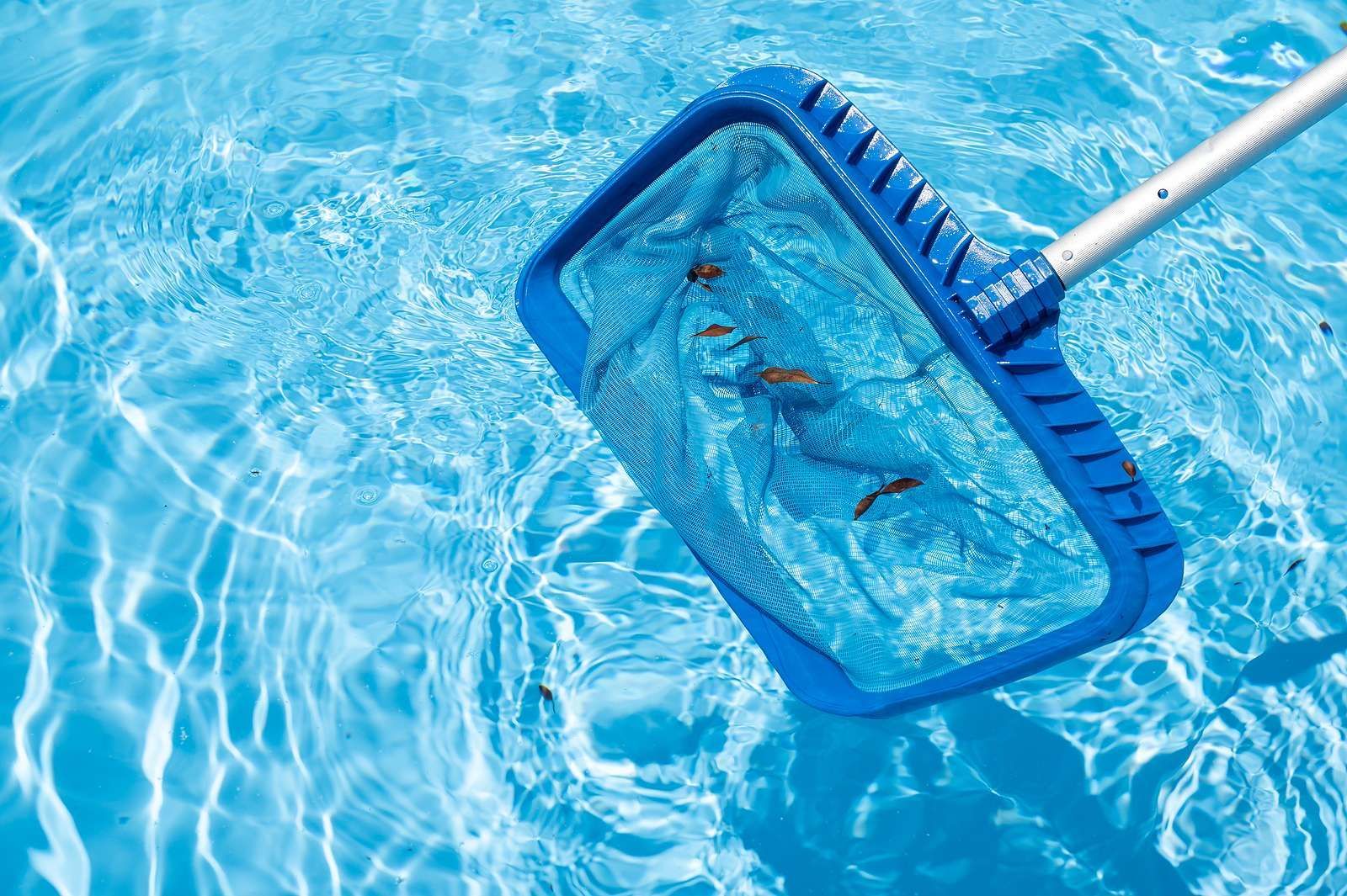 Cleaning Pool Using Leaf Rake