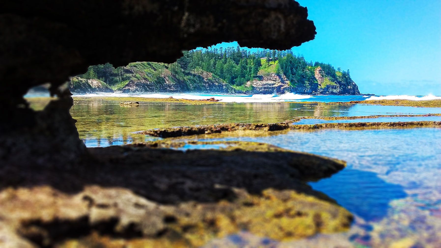 Rocky tide pools in foreground, clear water, beach, and forested cliffs. Norfolk Island Trade Winds Seniors Sanctuary