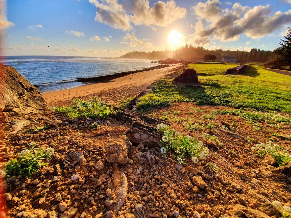 Beach scene at sunset: waves, sand, green grass. Norfolk Island Trade Winds Seniors Sanctuary