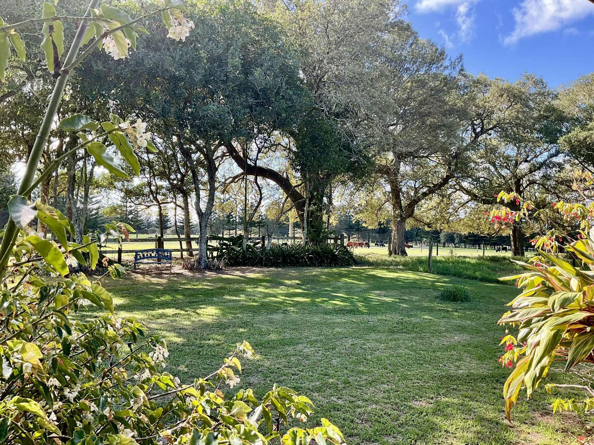 Lush green yard with trees, sunlight, and a distant fence. Norfolk Island Trade Winds Seniors Sanctuary