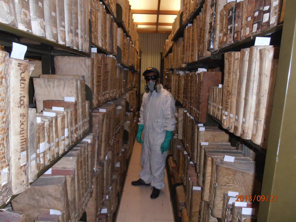 fumigación y control de plagas en Bogotá