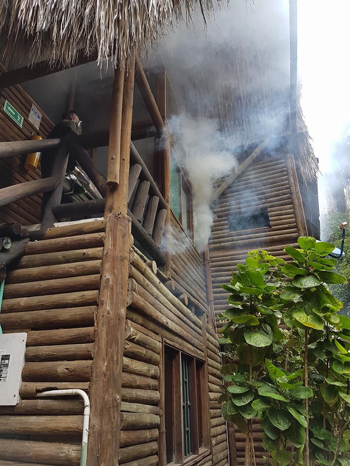 fumigación y control de plagas en Bogotá