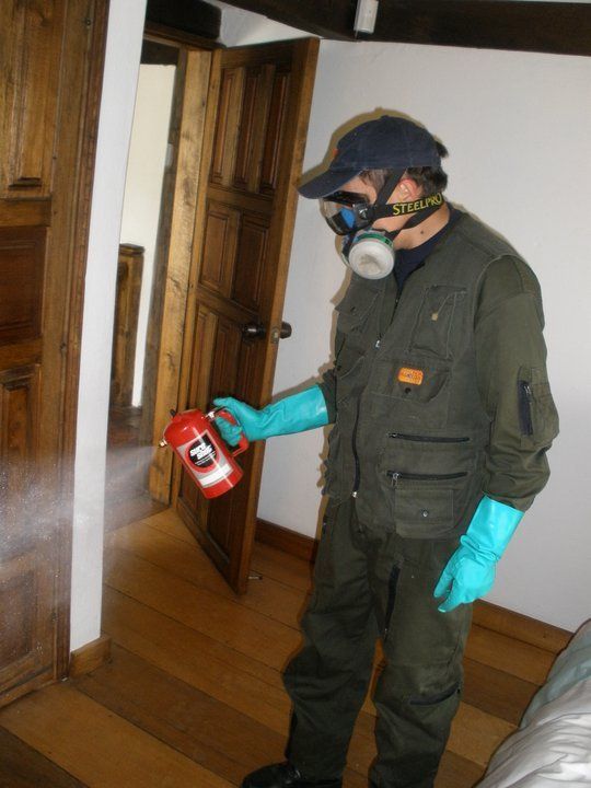 fumigación y control de plagas en Bogotá